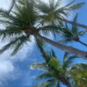 Meet your Posher, Ian